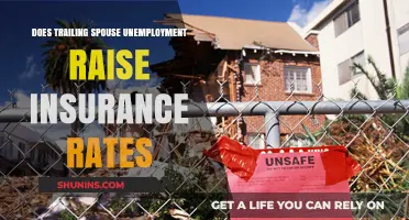 Trailing Spouse Unemployment: Insurance Rates Impact