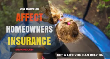 Trampoline Hazards: Insurance and Safety Concerns