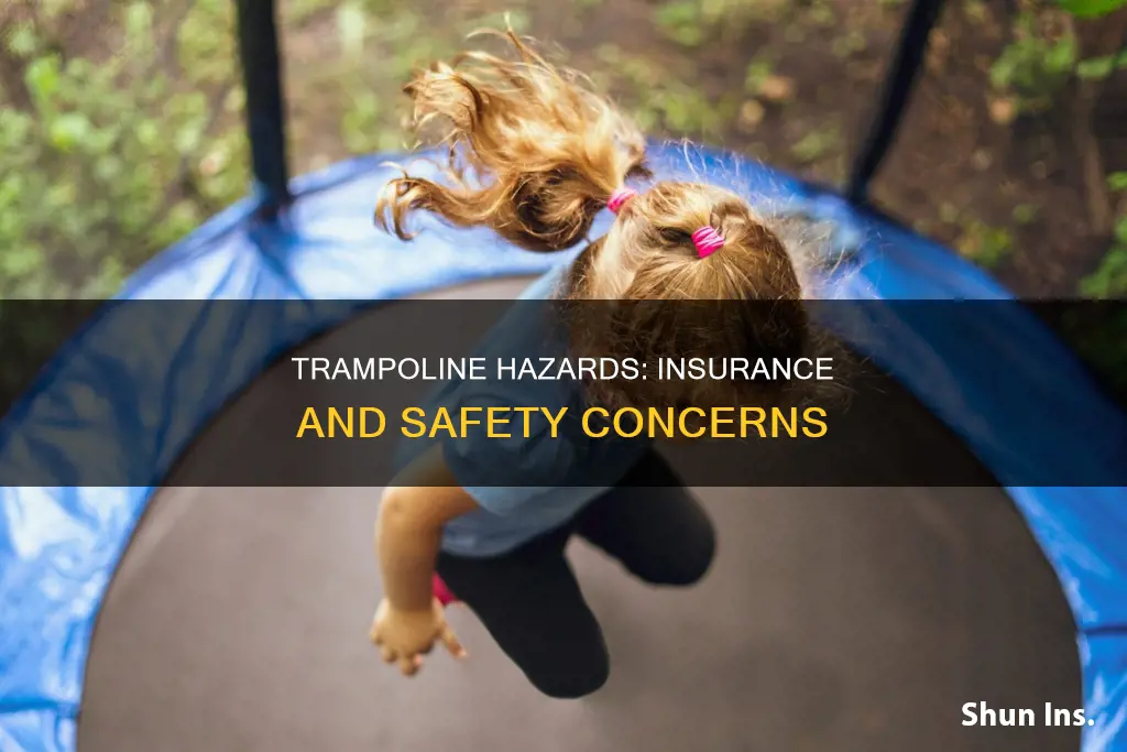 does trampoline affect homeowners insurance