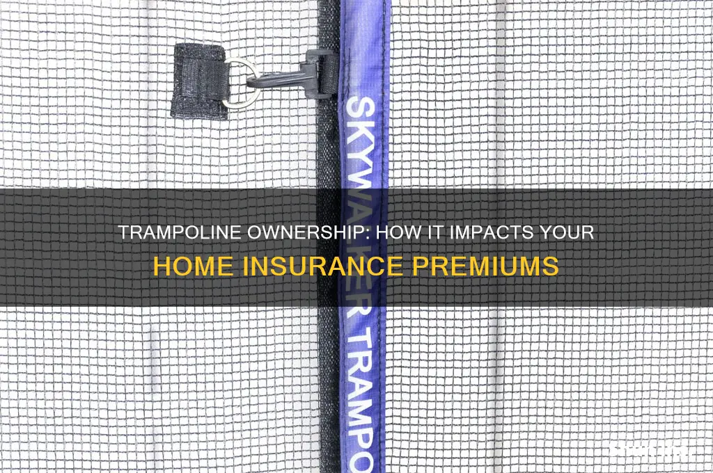does trampoline increase insurance