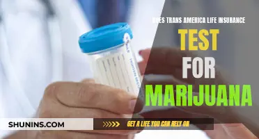 Trans America Life Insurance: Marijuana Testing Policy Explained