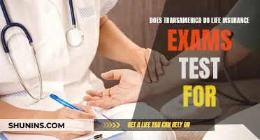 Transamerica Life Insurance: Exam Requirements and Health Checks