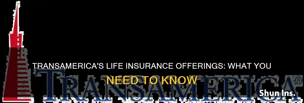 does transamerica have life insurance