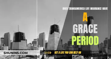 Transamerica Life Insurance: Grace Period Explained