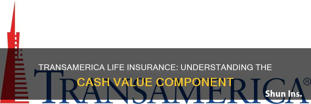 does transamerica life insurance have cash value