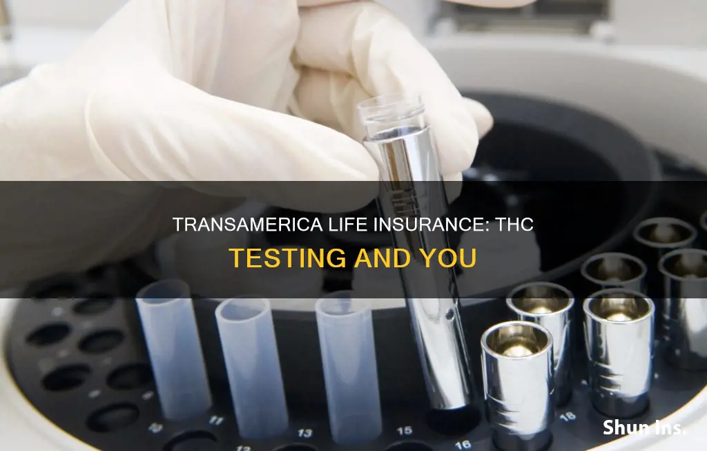 does transamerica life insurance test for thc