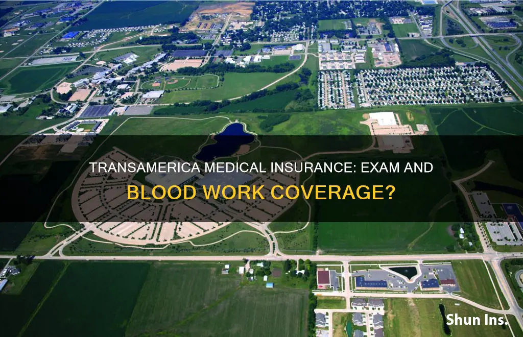 does transamerica medical insurance cover exams and blood work
