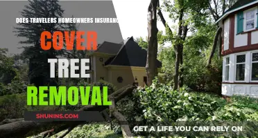 Travelers Homeowners Insurance: Tree Removal Covered?