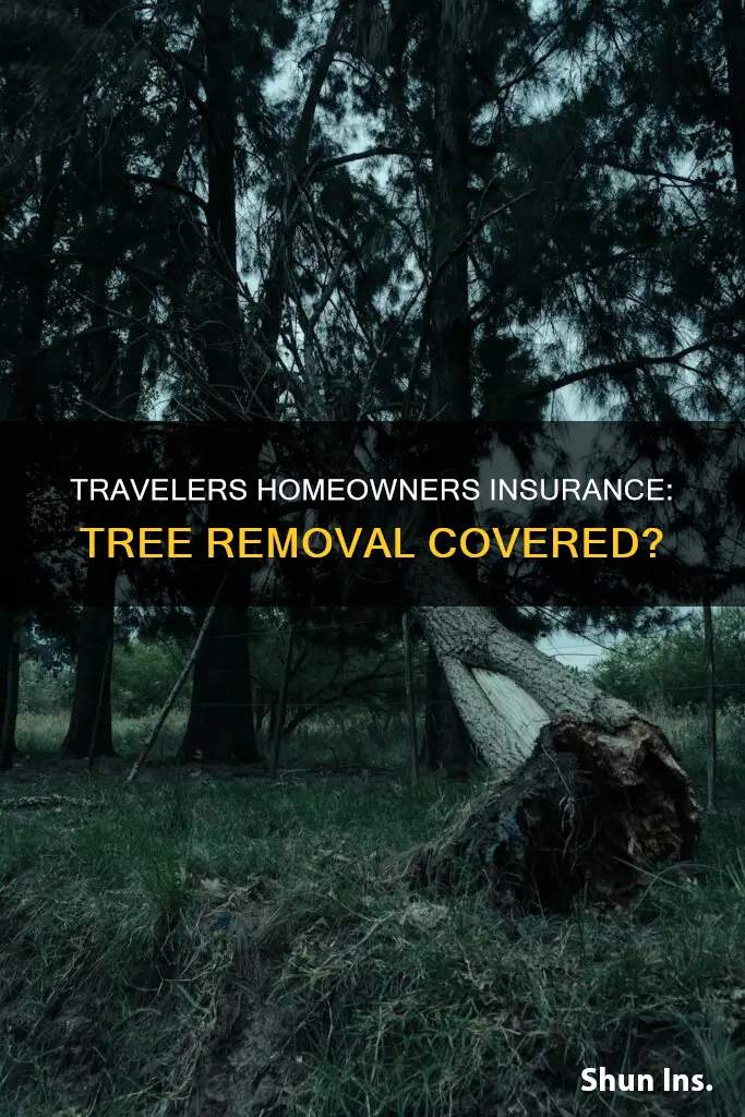 does travelers homeowners insurance cover tree removal