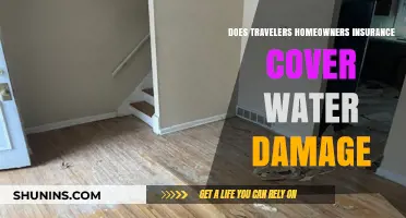 Travelers Homeowners Insurance: What Water Damage is Covered?