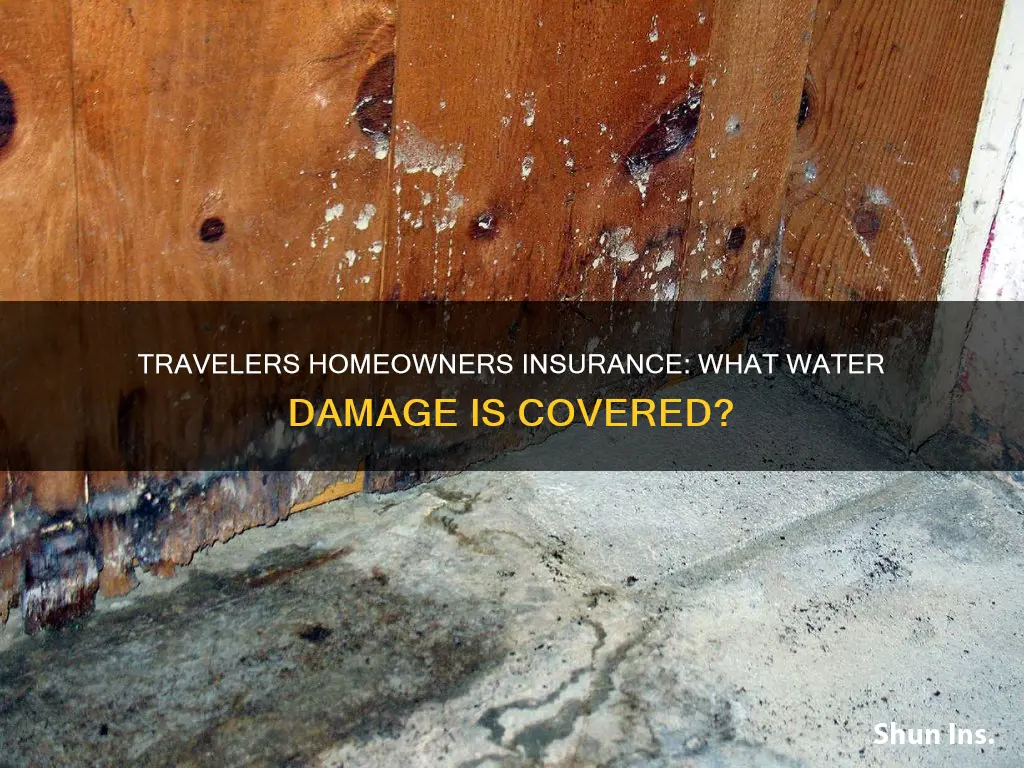 does travelers homeowners insurance cover water damage