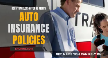 Travelers 12-Month Auto Insurance: Year-Round Coverage and Peace of Mind