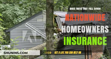 Homeowners Insurance: Fallen Trees and Coverage