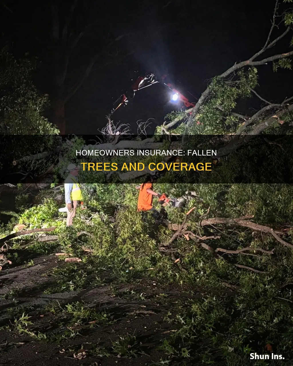 does trees that fall cover nationwide homeowners insurance