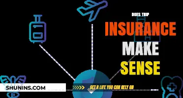 Is Trip Insurance Worth It? Pros, Cons, and When to Buy