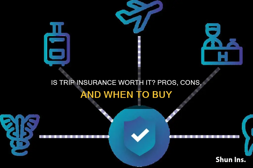 does trip insurance make sense