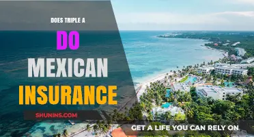 Does AAA Offer Mexican Car Insurance? What Travelers Need to Know