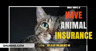 Does AAA Offer Pet Insurance? Exploring Coverage Options for Your Pets
