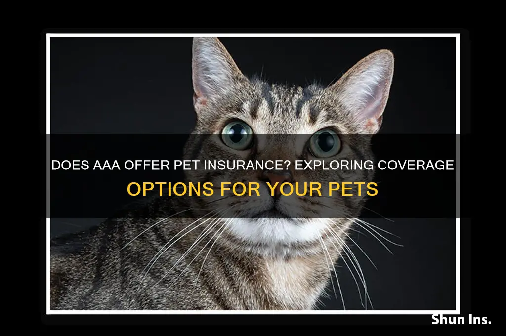 does triple a have animal insurance