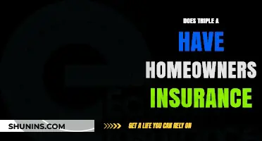 AAA: Homeowners Insurance Options and Benefits