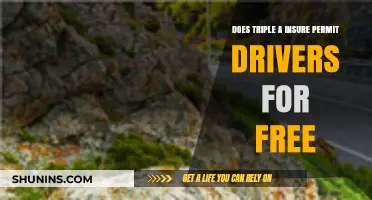 Does AAA Offer Free Insurance for Permit Drivers?