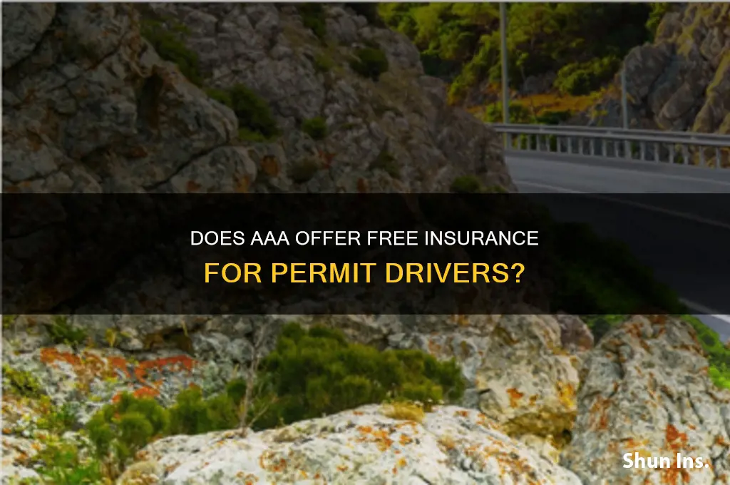 does triple a insure permit drivers for free