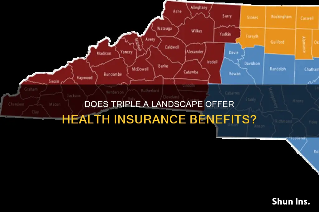 does triple a landscape provide health insurance