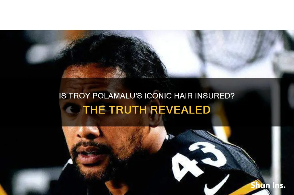 does troy polamalu have his hair insured
