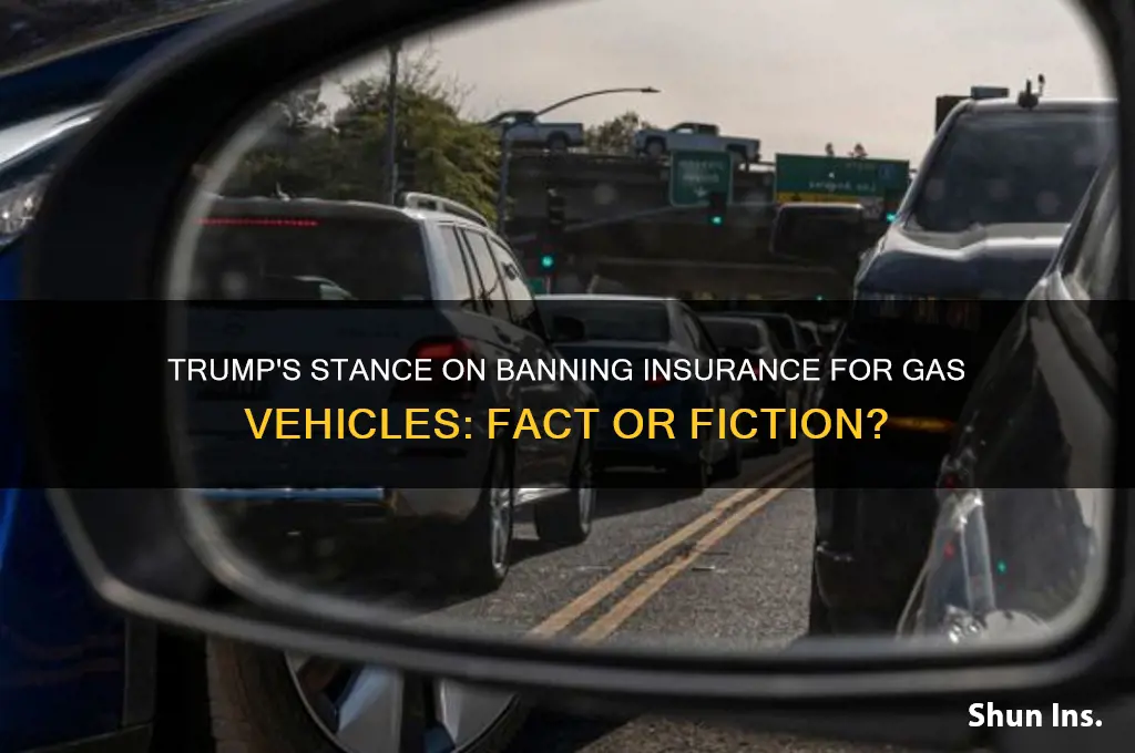 does trump want to ban insurance for gasys