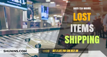Does TSA Insure Lost Items During Shipping? What Travelers Need to Know