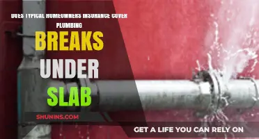 Plumbing Woes: Is Your Slab Covered by Home Insurance?