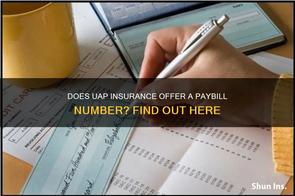 does uap insurance have a paybill