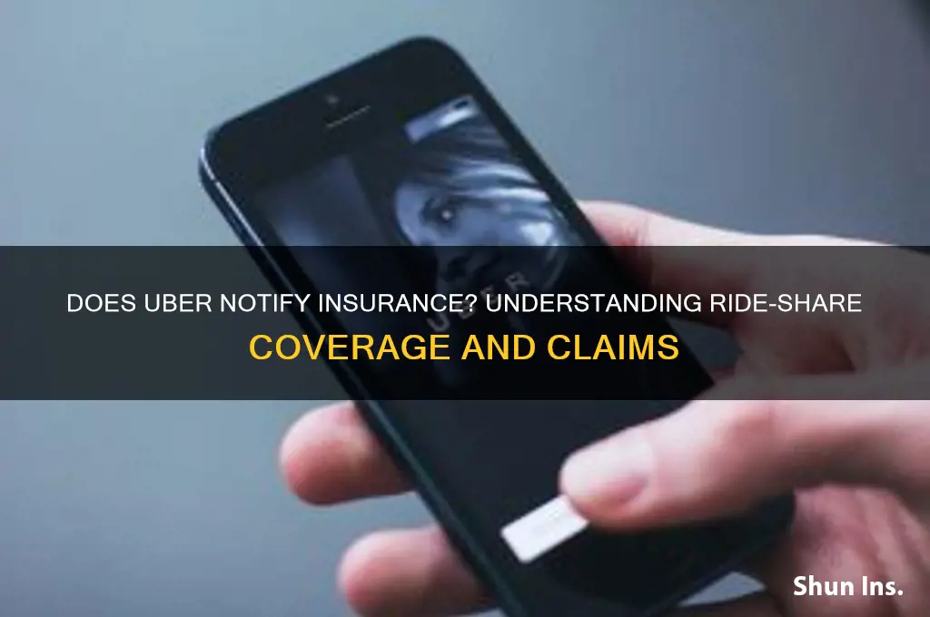 does uber notify insurance