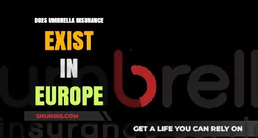 Exploring Umbrella Insurance Availability and Options Across European Countries