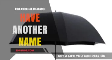 Alternative Names for Umbrella Insurance: What You Need to Know