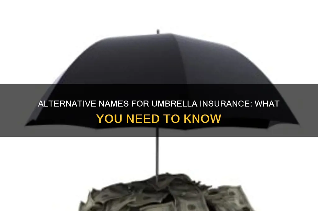 does umbrella insurance have another name