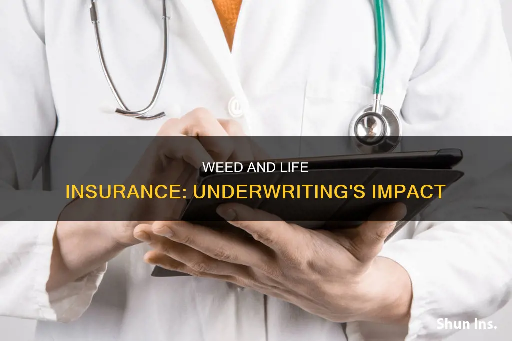 does underwriting for life insurance test for weed