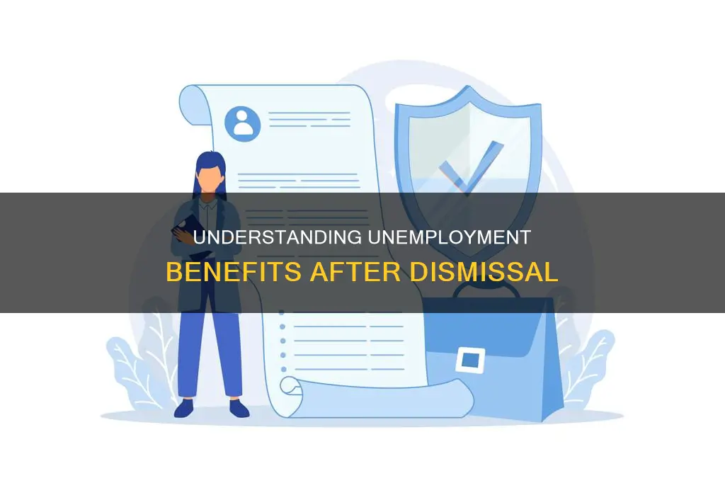 does unemployment insurance go up with dismissals