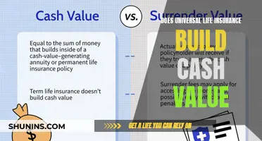 Universal Life Insurance: Building Your Cash Value