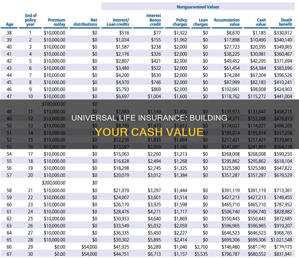 does universal life insurance build cash value