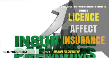 How a Driver's License Upgrade Impacts Insurance