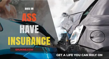 Protect Your Assets: Does Your Rear End Have Insurance Coverage?