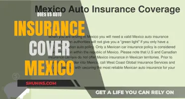 US Auto Insurance: Understanding Mexico Coverage