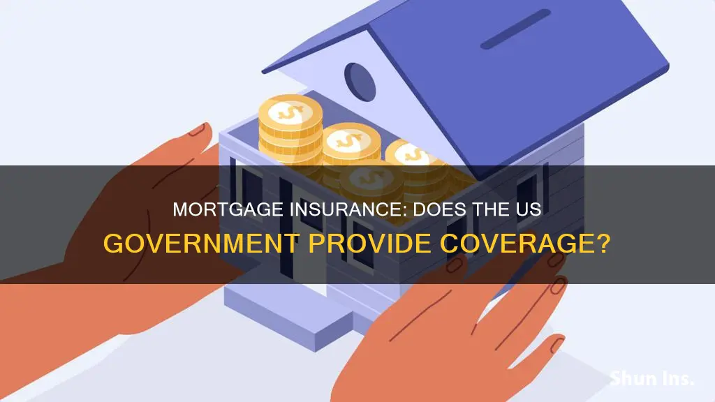 does us govermenet provide mortgage insurance