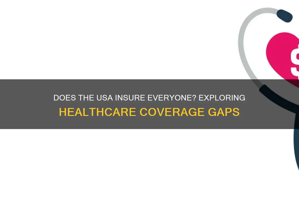 does usa insure everyone