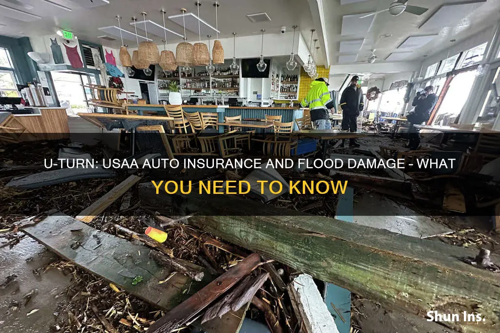 does usaa auto insurance cover flood damage