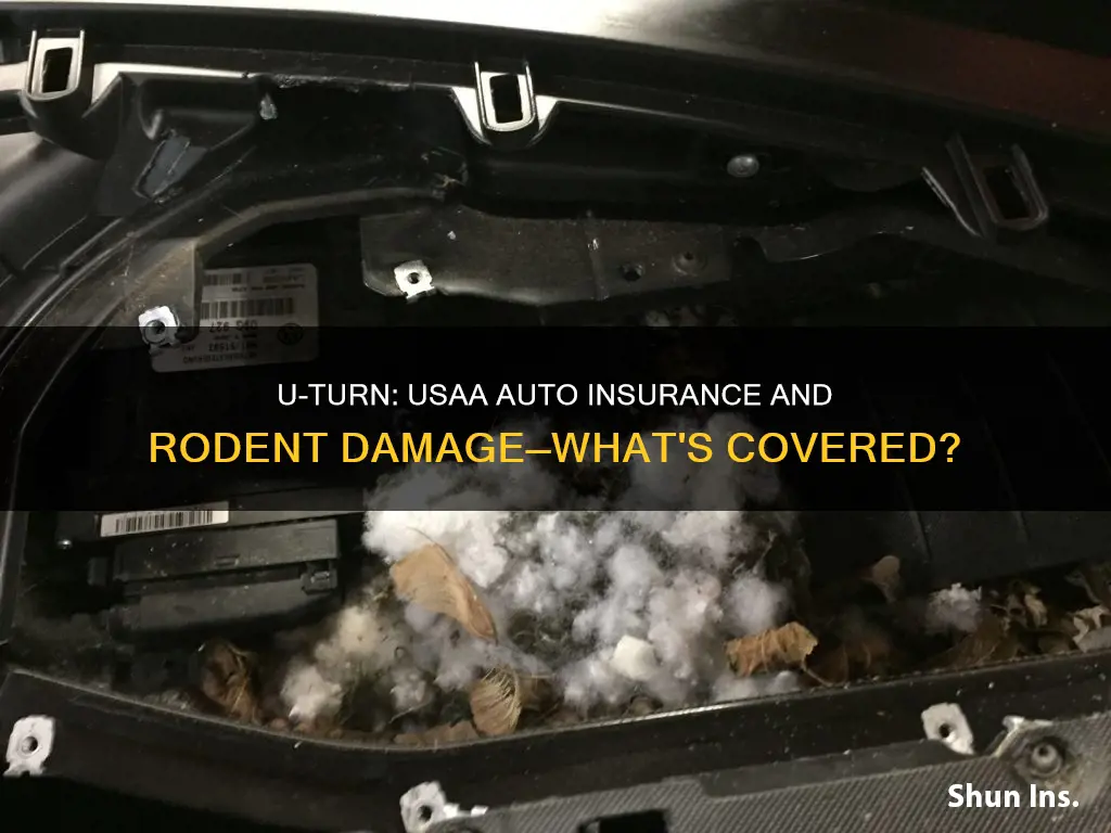 does usaa auto insurance cover rodent damage