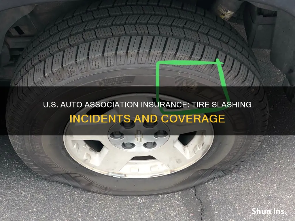 does usaa auto insurance cover slashed tires