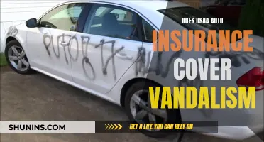 U.S.A.A. Auto Insurance: Understanding Vandalism Coverage