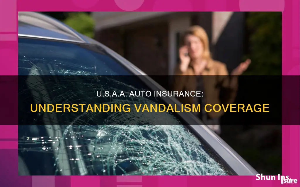 does usaa auto insurance cover vandalism